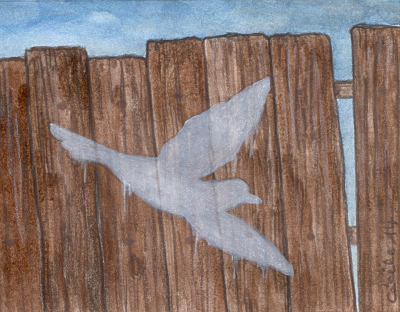  [ White bird, © 2014 Cécile Matthey ] 