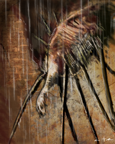  [ spider-legged antenna, © 2021 Eric Asaris ] 