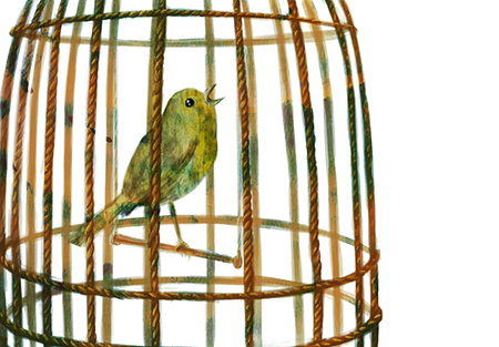  [ Songbird, © 2016 Laura-Anca Adascalitei ] 