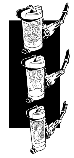  [ Pickled and Wired, © 2018 Miguel Santos ] 