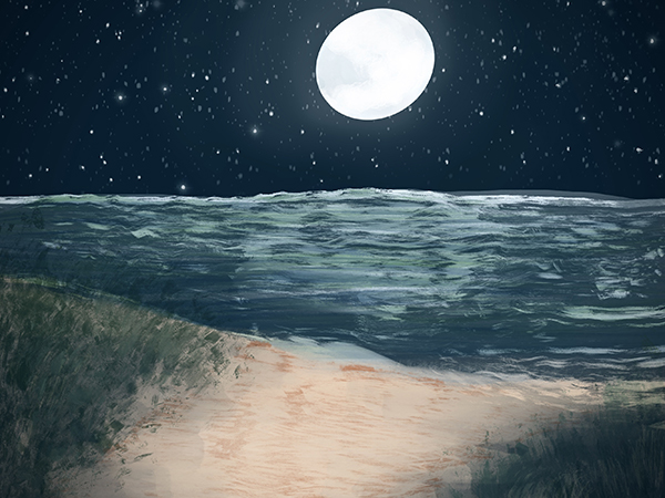  [ Moon © 2024 Sarah Salcedo ] 