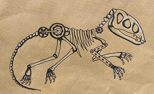  [ The bones first, © 2021 Dr. T. Eratopo ] 