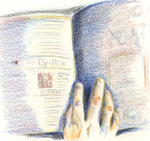  [ Quill © 2007, Arianna Ciula ] 